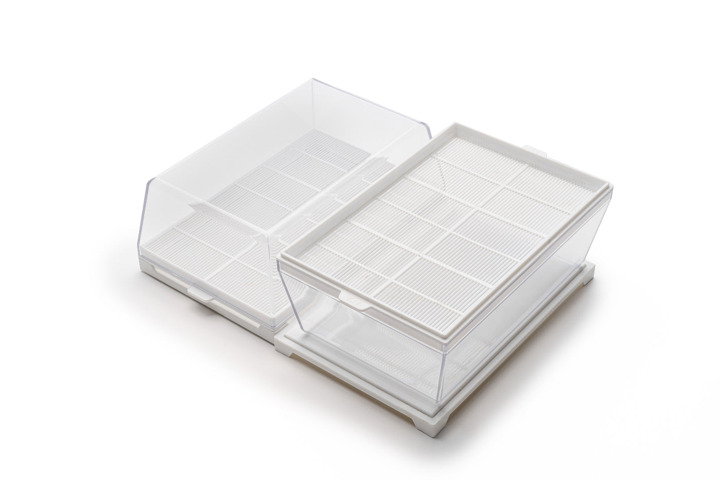 EVA H - Germogliatore & Hydro kit