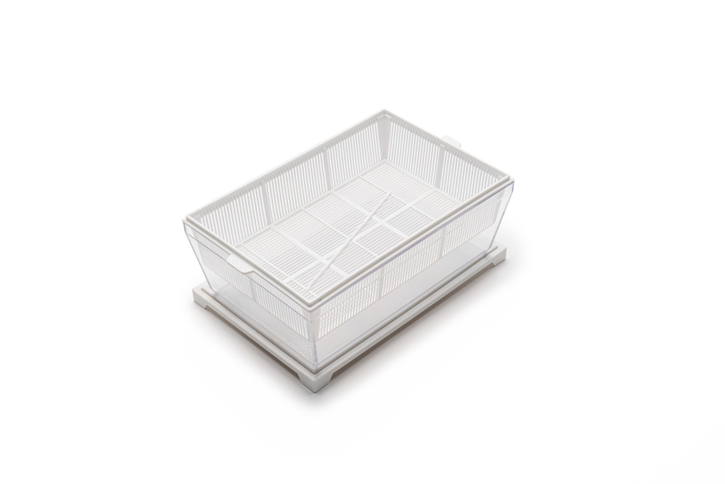 EVA S - Kit di coltivazione con cocco