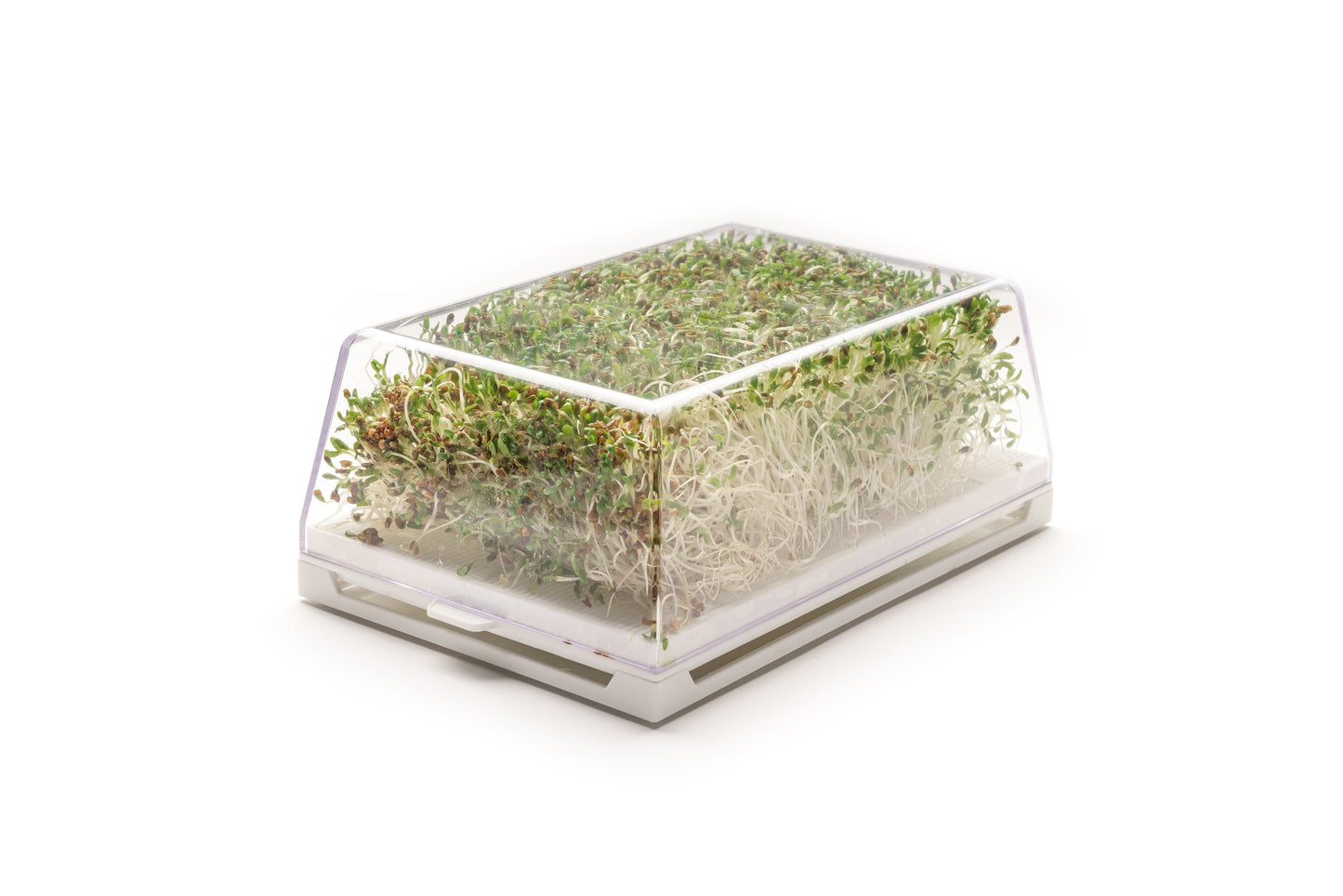 Starter kit germogli & microgreens - Vita S - sk900