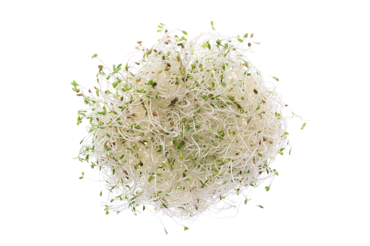 Set 3 semi bio per germogli & microgreens - dolce - sm900