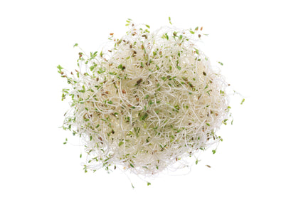 Set 3 semi bio per germogli & microgreens - dolce - sm900