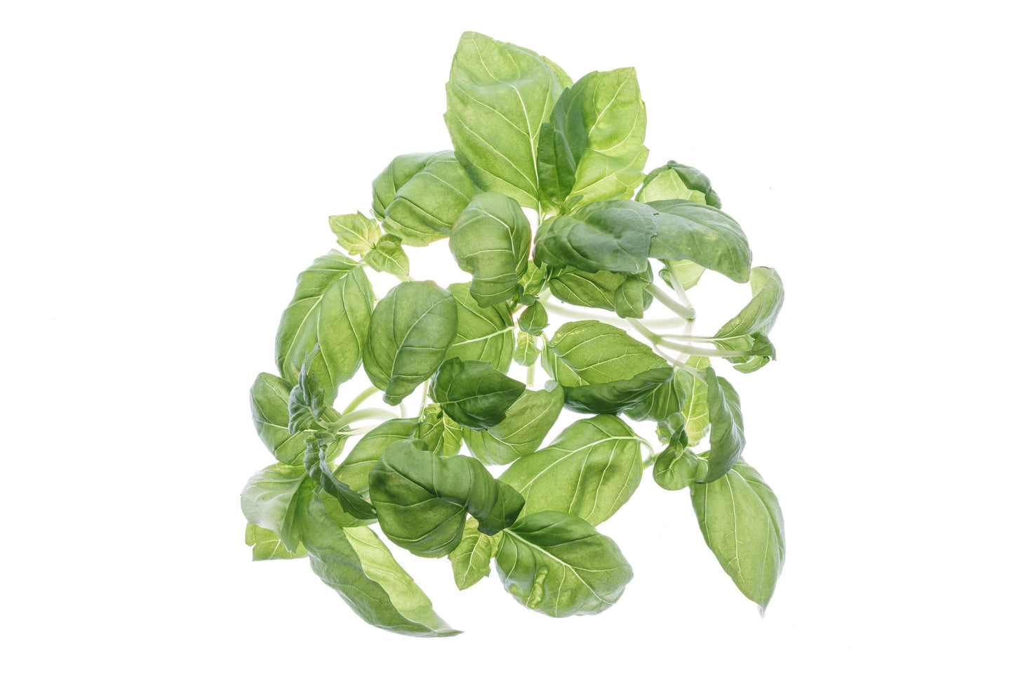 Starter kit aromatiche & microgreens - Aroma2 - sk907