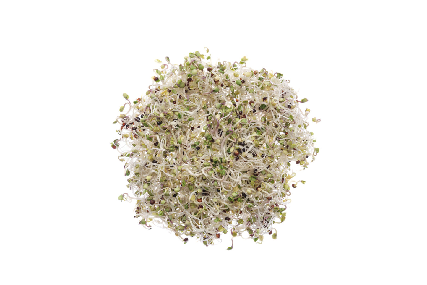 Set 3 semi bio per germogli & microgreens - Mix - sm903