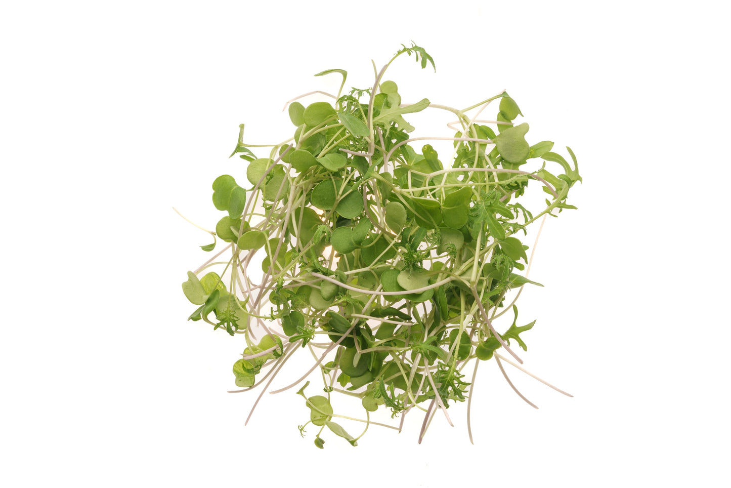 Set 3 semi bio per germogli & microgreens - Mix - sm903