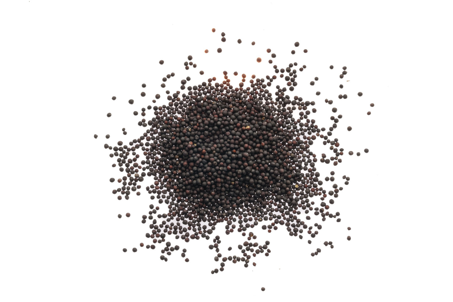 Set 3 semi bio per germogli & microgreens - Mix - sm903