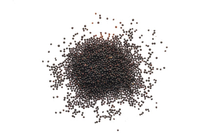 Set 3 semi bio per germogli & microgreens - Mix - sm903