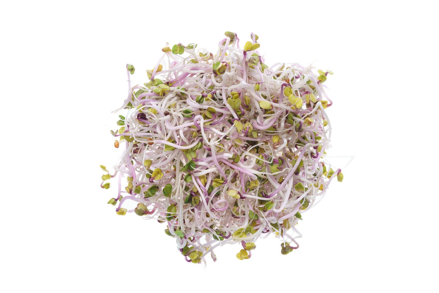 Set 3 semi bio per germogli & microgreens - piccante - sm901