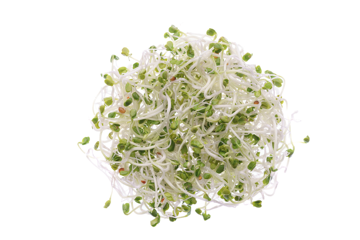 Set 3 semi bio per germogli & microgreens - piccante - sm901