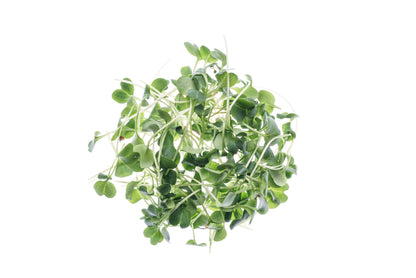Set 3 semi bio per germogli & microgreens - piccante - sm901