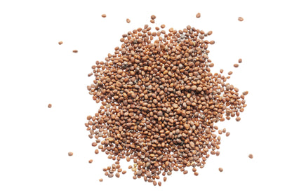 Set 3 semi bio per germogli & microgreens - piccante - sm901