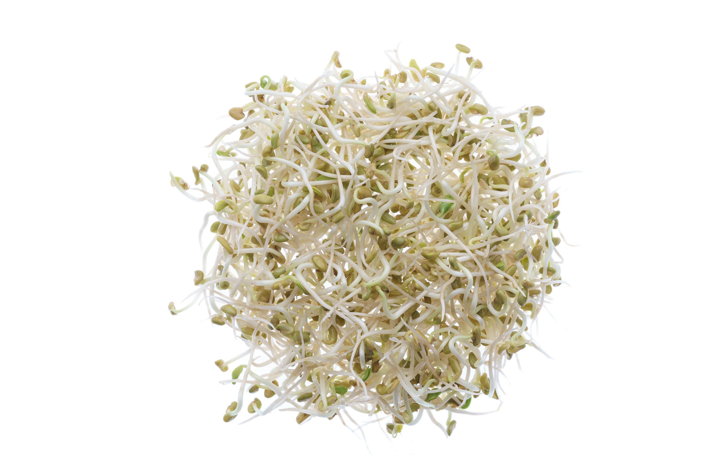 Set 4 semi bio per germogli & microgreens - Legumi - sm904