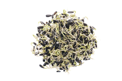 Set 3 semi bio per germogli & microgreens - dolce - sm900