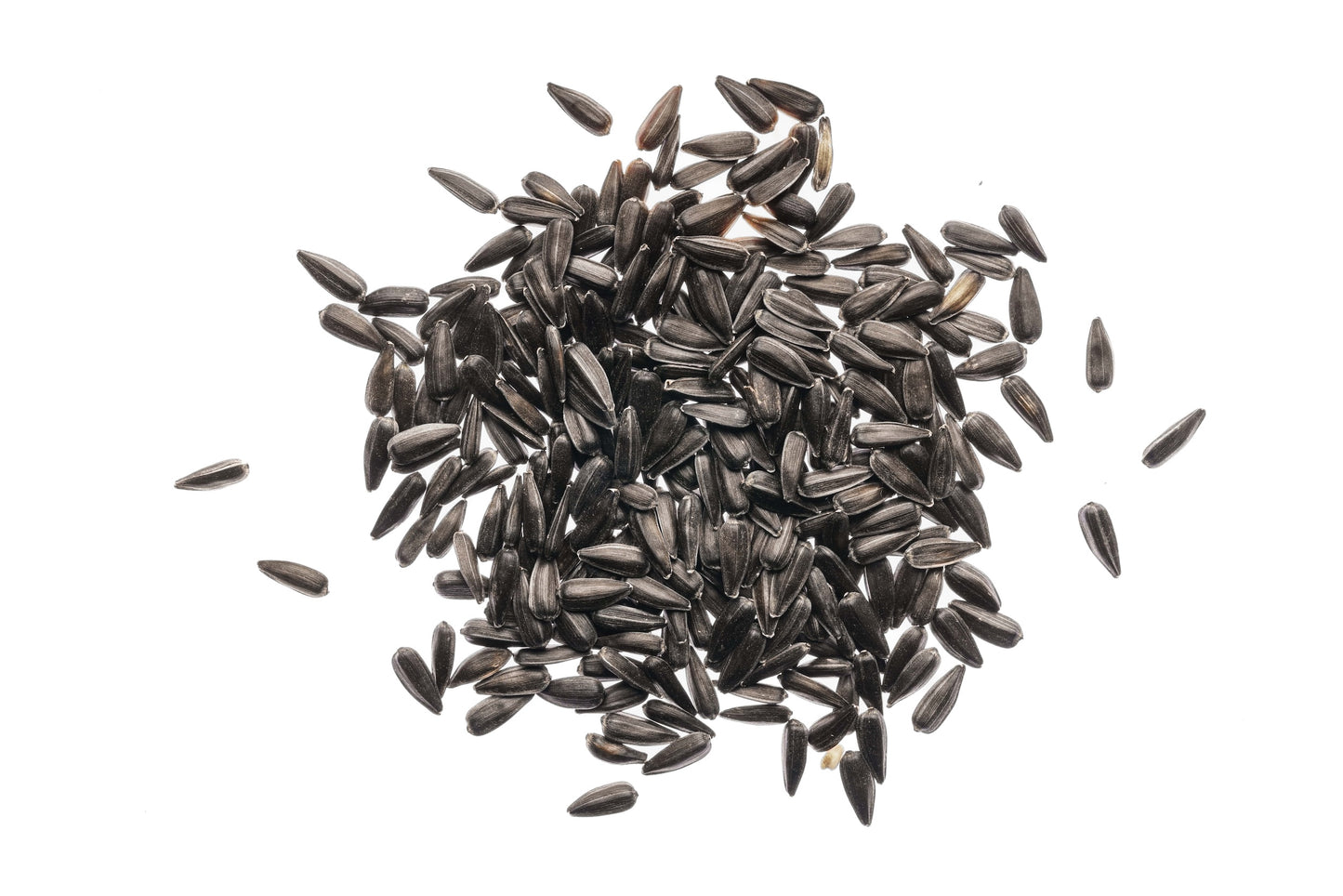 Set 3 semi bio per germogli & microgreens - dolce - sm900