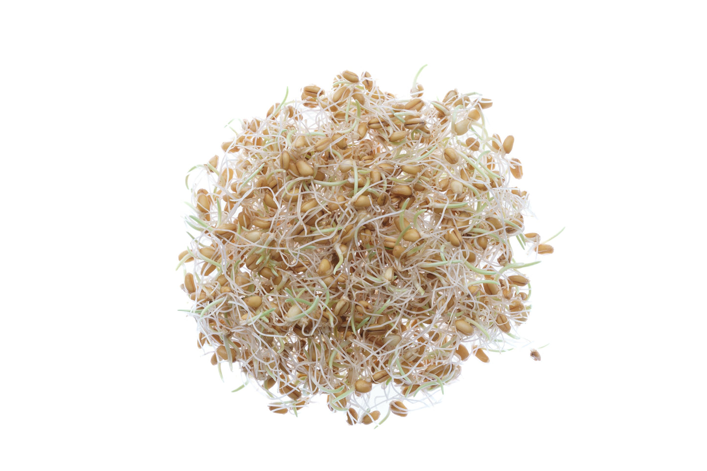 Set 3 semi bio per germogli & microgreens - Mix - sm903