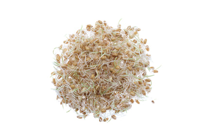 Set 3 semi bio per germogli & microgreens - Mix - sm903