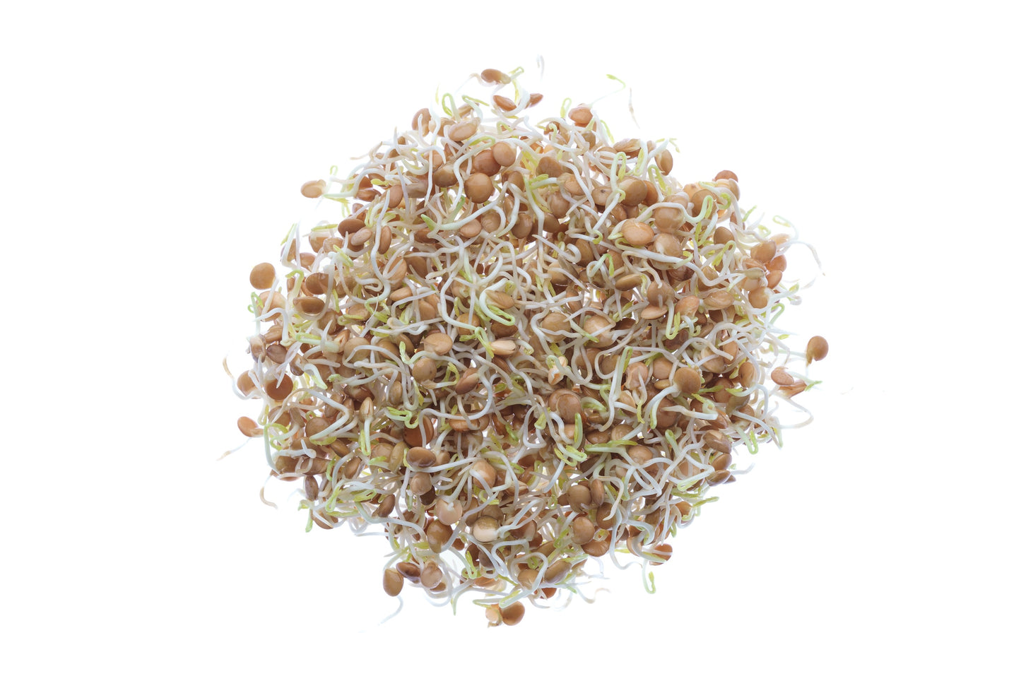 Set 4 semi bio per germogli & microgreens - Legumi - sm904