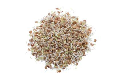 Set 4 semi bio per germogli & microgreens - Legumi - sm904