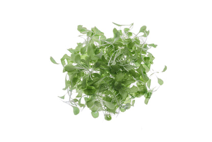 Set 9 semi bio per baby leaves & microgreens sm905