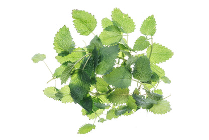 Starter kit aromatiche & microgreens - Aroma2 - sk907