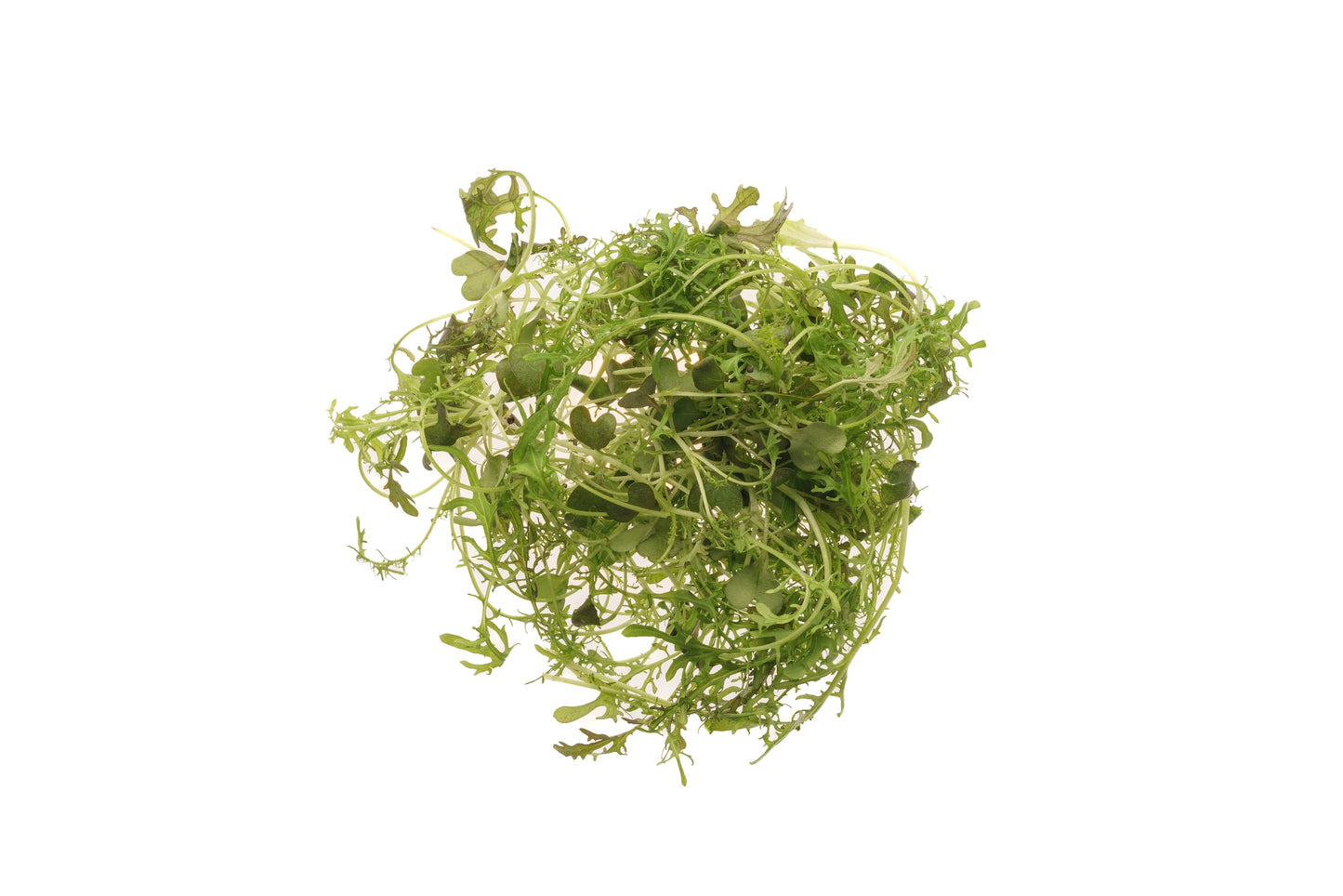 Set 9 semi bio per baby leaves & microgreens sm905