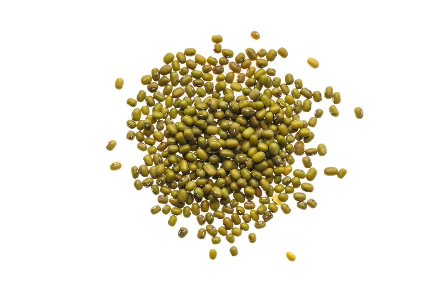 Set 4 semi bio per germogli & microgreens - Legumi - sm904