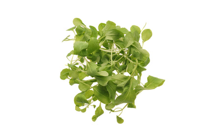 Set 9 semi bio per baby leaves & microgreens sm905