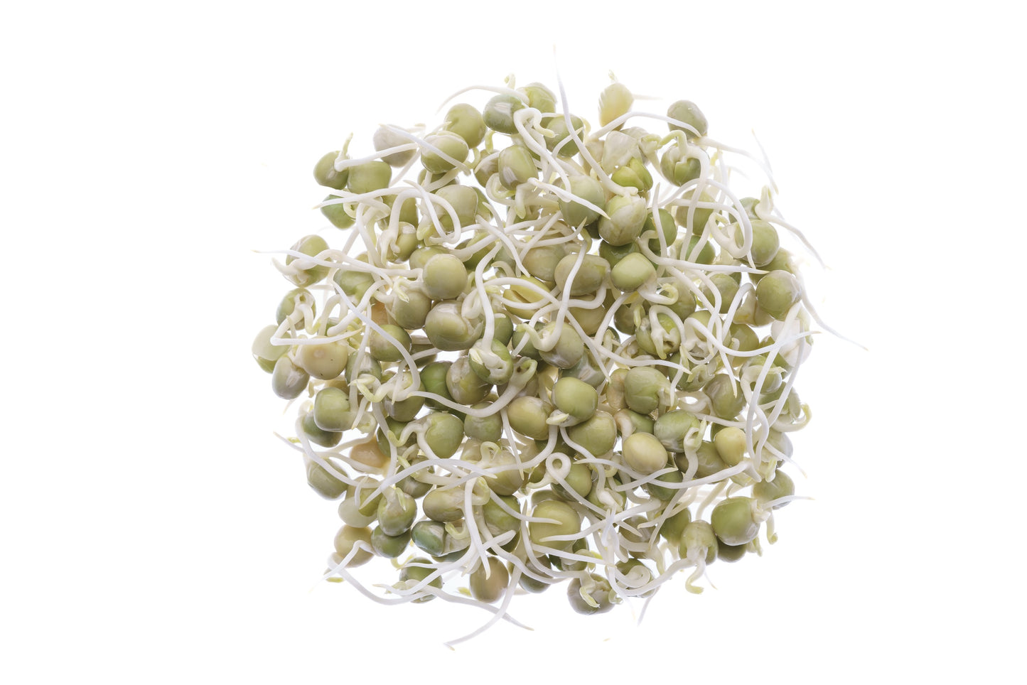 Set 4 semi bio per germogli & microgreens - Legumi - sm904