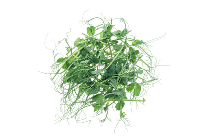 Set 4 semi bio per germogli & microgreens - Legumi - sm904