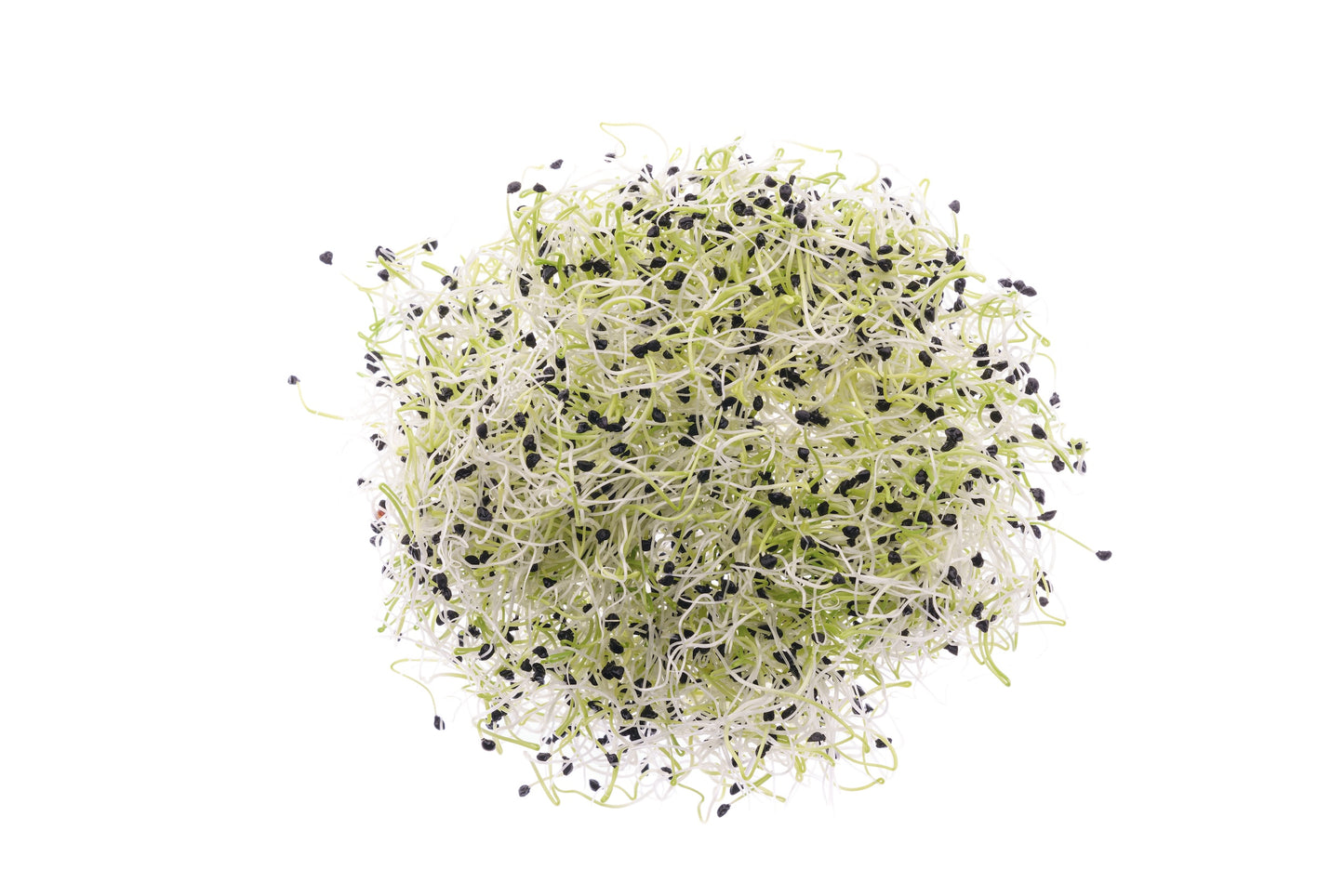 Set 3 semi bio per germogli & microgreens - Mix - sm903