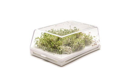 Starter kit germogli & microgreens - Vita M - sk901
