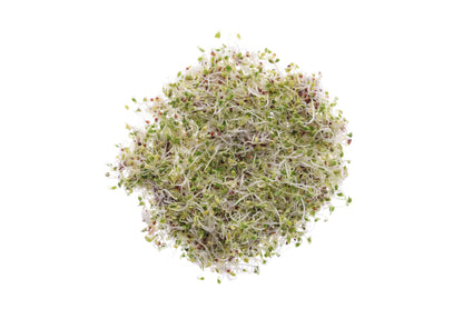 Set 3 semi bio per germogli & microgreens - piccante - sm901