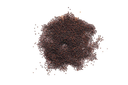 Set 3 semi bio per germogli & microgreens - piccante - sm901