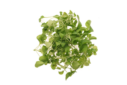 Set 3 semi bio per microgreens - mucillaginosi - sm902