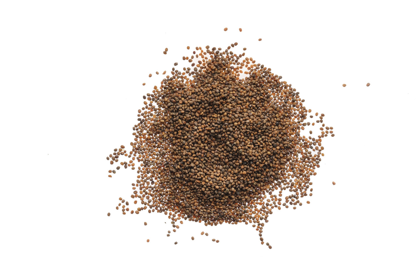 Starter kit Rucola - sk903