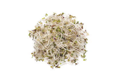 Set 3 semi bio per microgreens - mucillaginosi - sm902