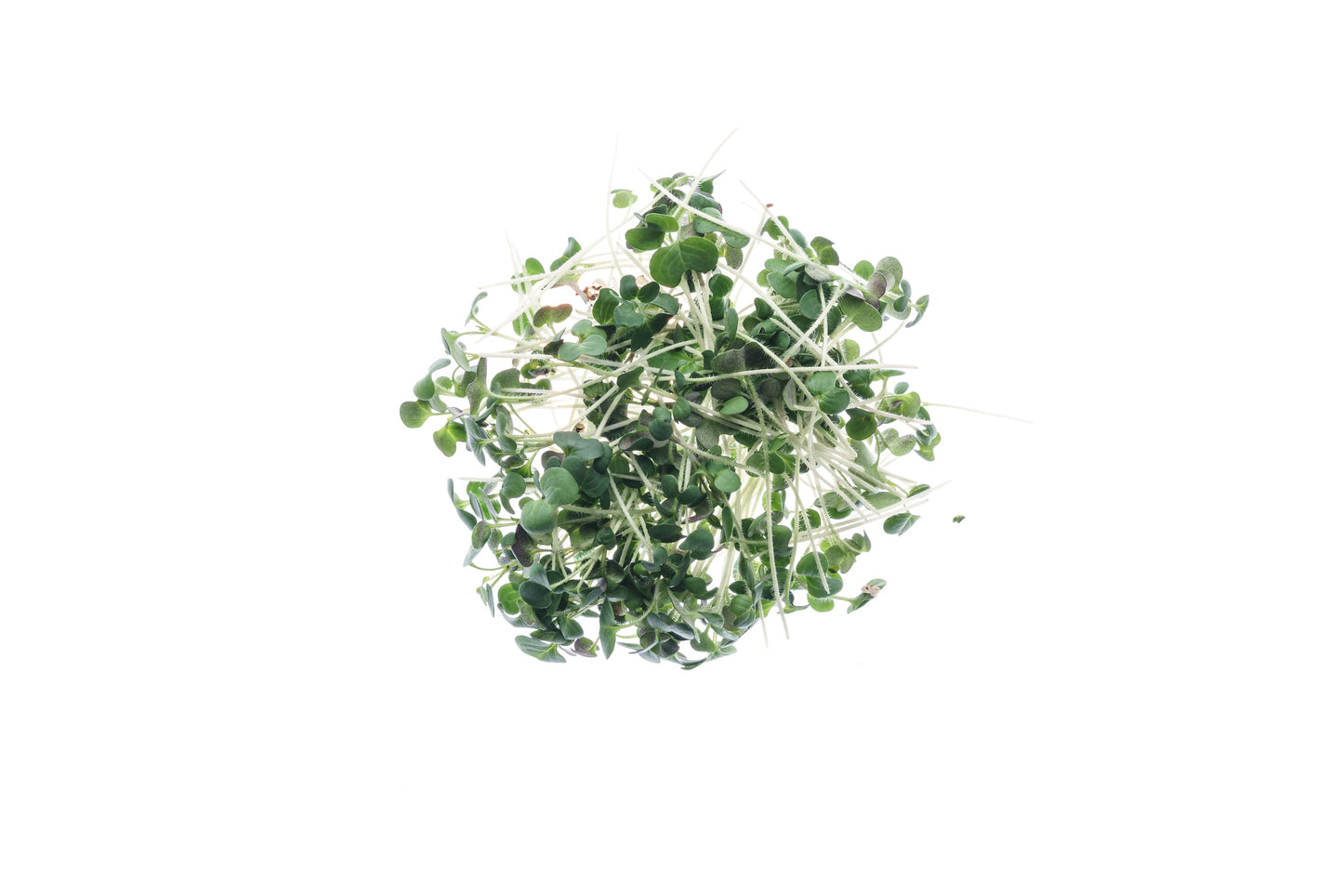 Set 3 semi bio per microgreens - mucillaginosi - sm902