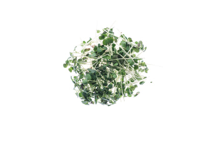 Set 3 semi bio per microgreens - mucillaginosi - sm902