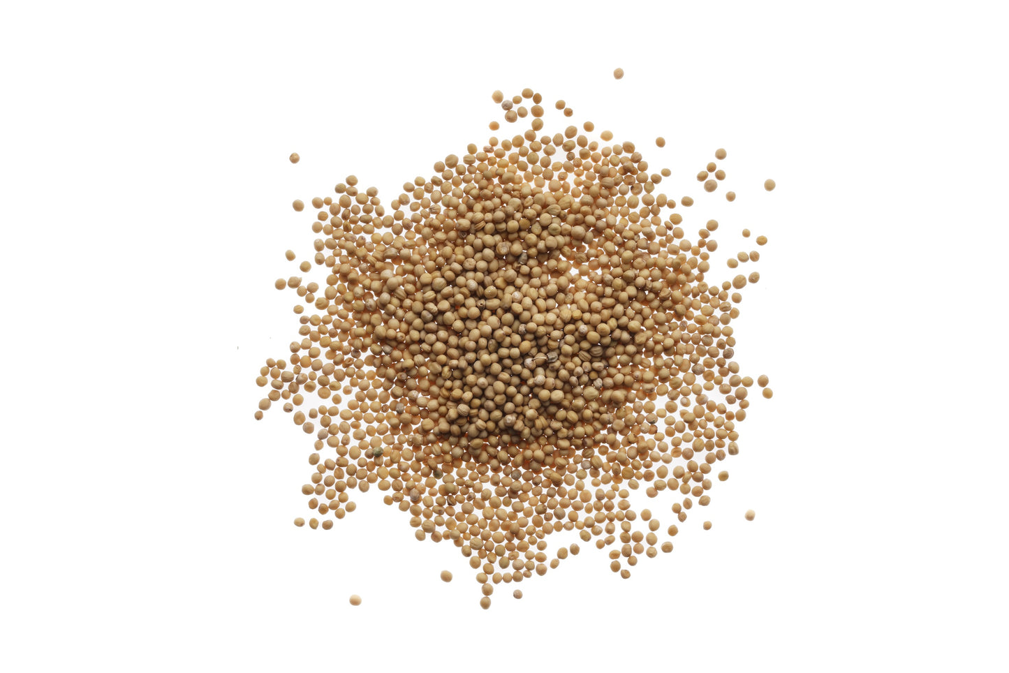 Set 3 semi bio per microgreens - mucillaginosi - sm902