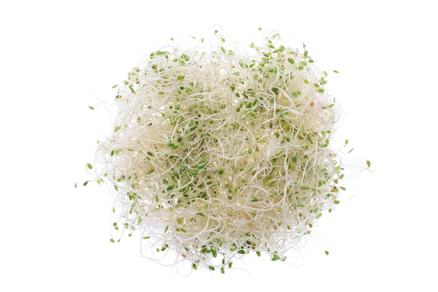 Set 3 semi bio per germogli & microgreens - dolce - sm900