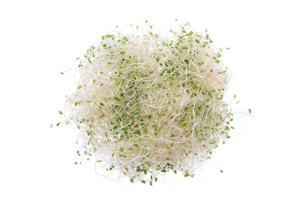 Set 3 semi bio per germogli & microgreens - dolce - sm900