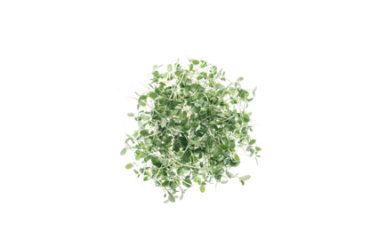 Set 3 semi bio per germogli & microgreens - dolce - sm900