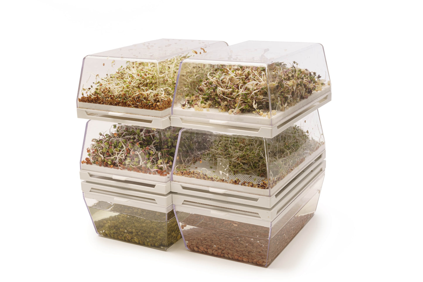 EVA H - Germogliatore & Hydro kit