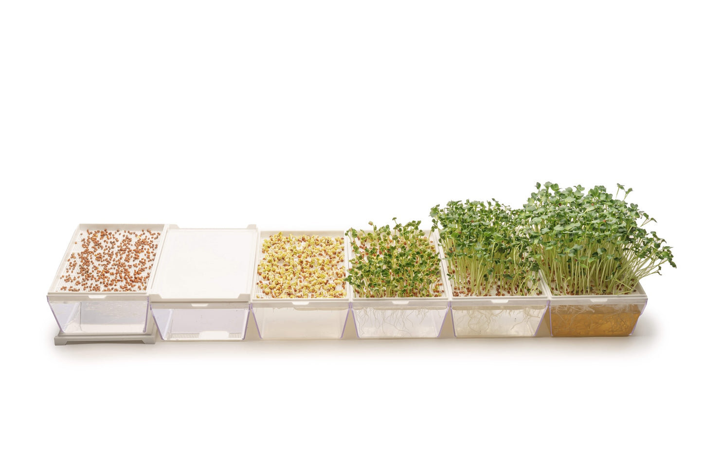 EVA H - Germogliatore & Hydro kit