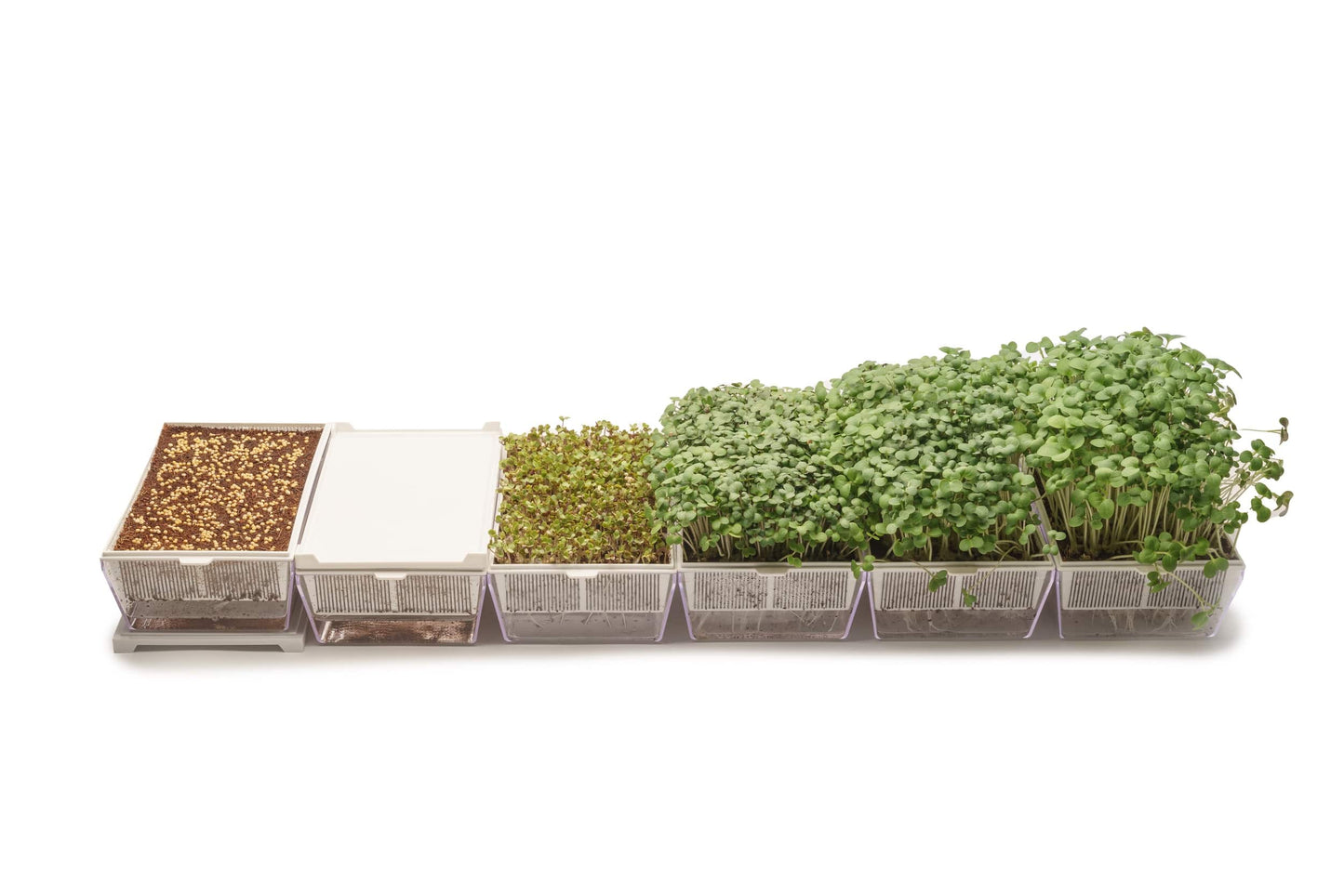 EVA S - Kit di coltivazione con cocco