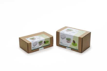 EVA S - Kit di coltivazione con cocco