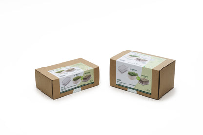 EVA H - Germogliatore & Hydro kit