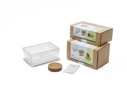 EVA S - Kit di coltivazione con cocco