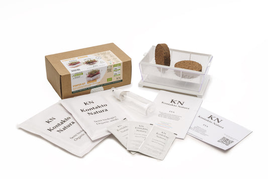 Starter kit Bieta Bull's Blood - sk906