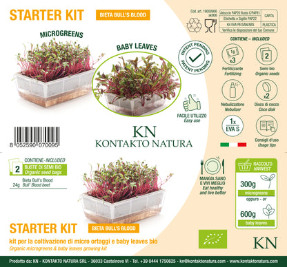 Starter kit Bieta Bull's Blood - sk906
