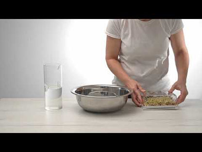 EVA H - Germogliatore & Hydro kit